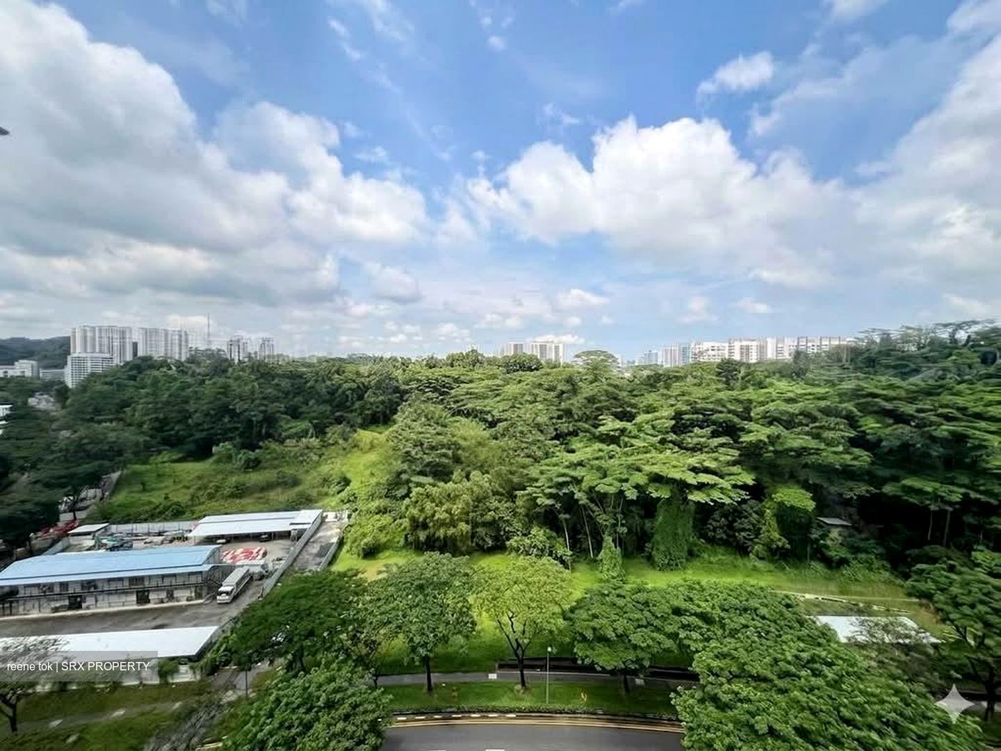 Blk 467A West Plains @ Bukit Batok (Bukit Batok), HDB 4 Rooms #574496971